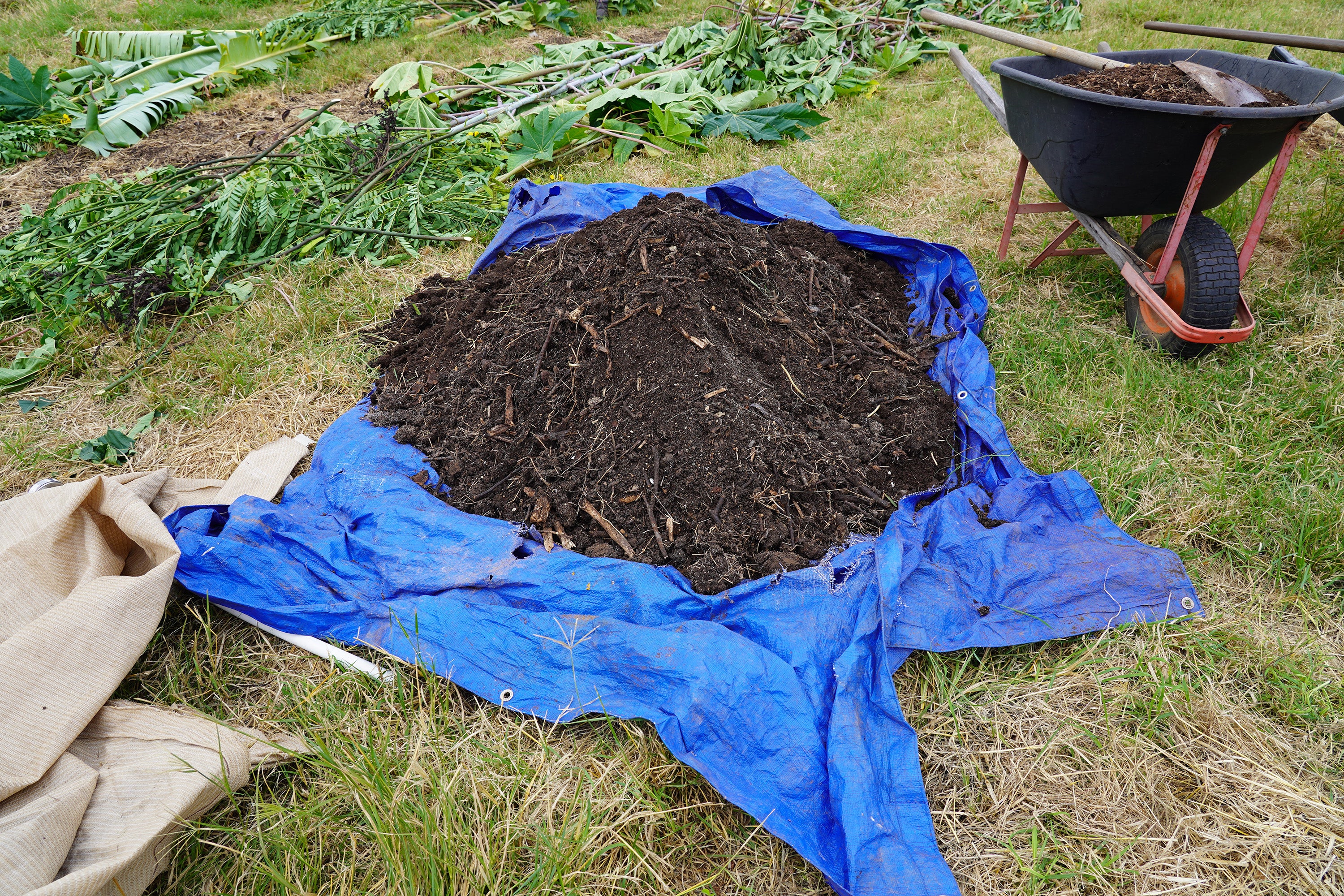 Pile of compost on a tarp