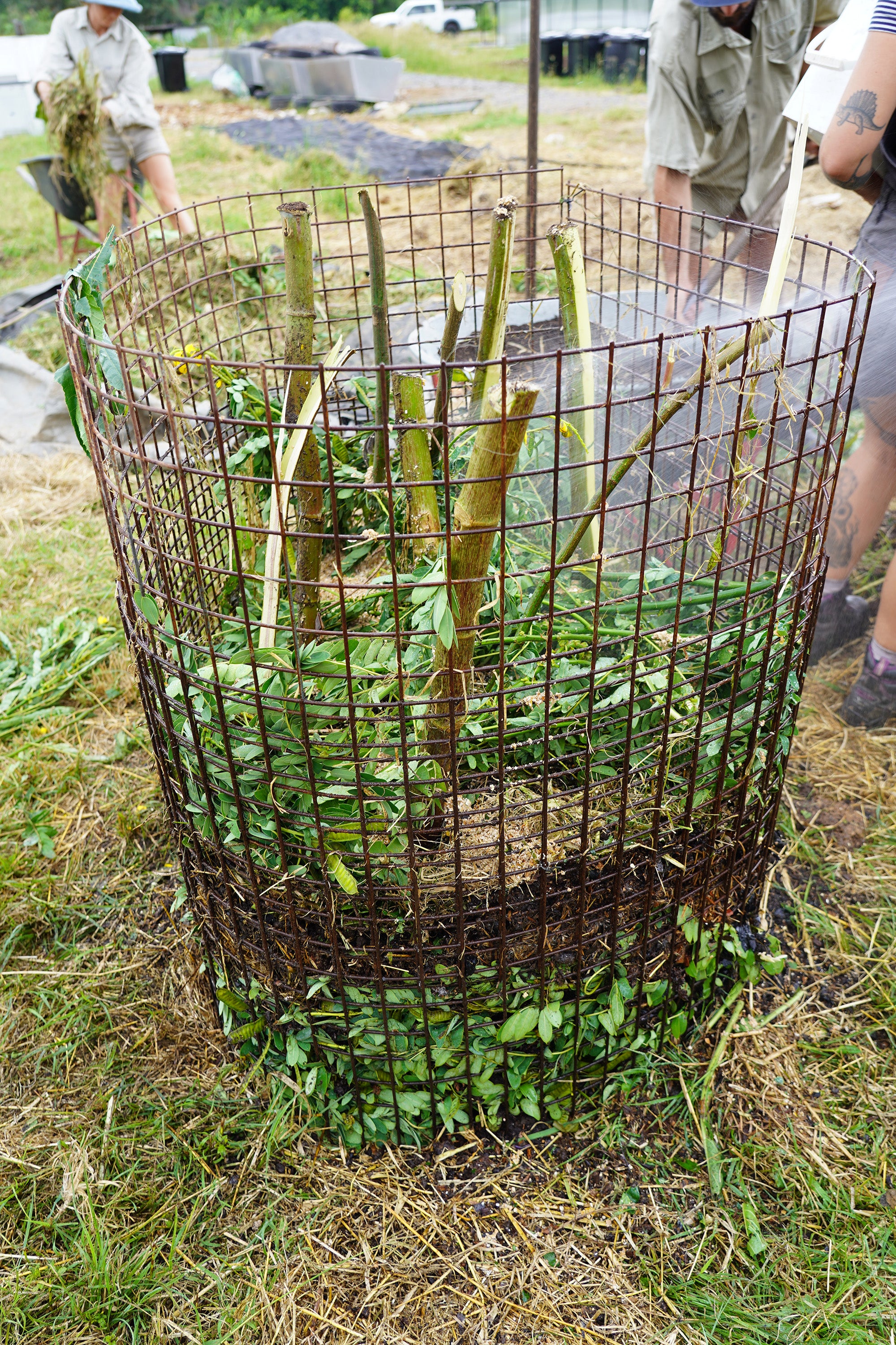 Seljak_Brand_Loop_growers_aerating_compost_bamboo