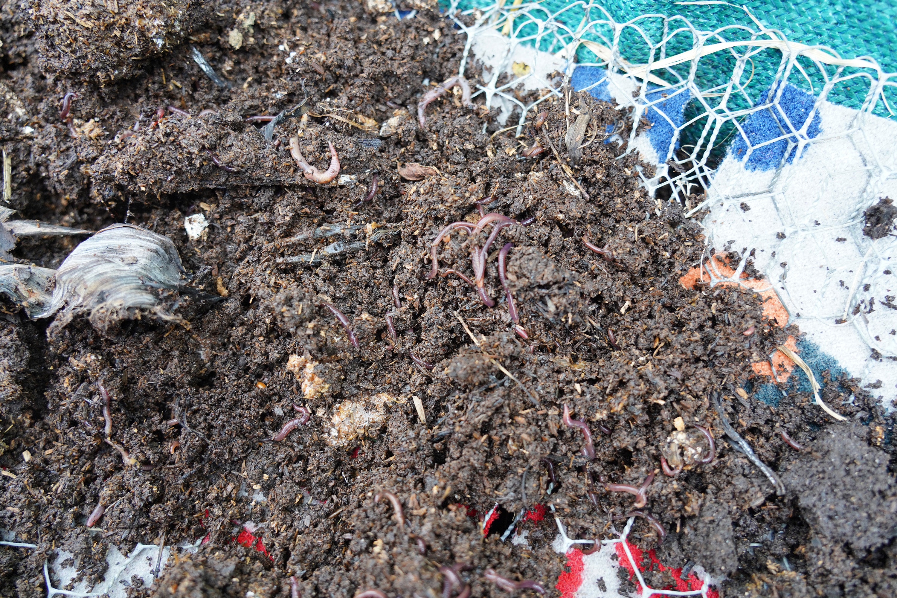 Seljak_brand_wool_blanket_compost_fibres_worms