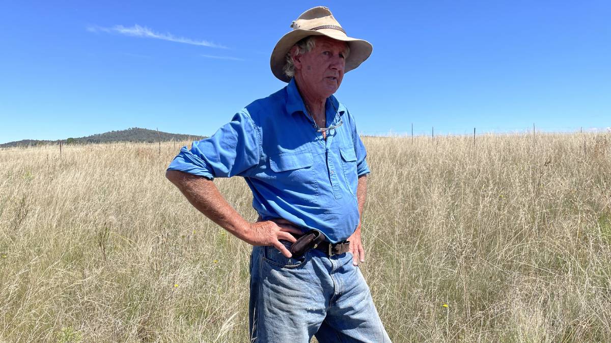 Charles Massey standing in a field of native grasses