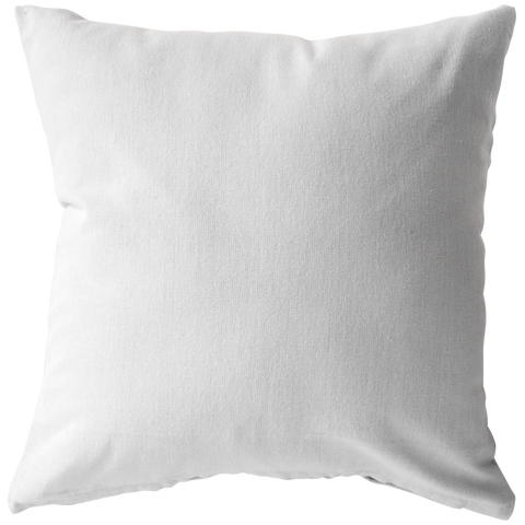 pillow with picture insert