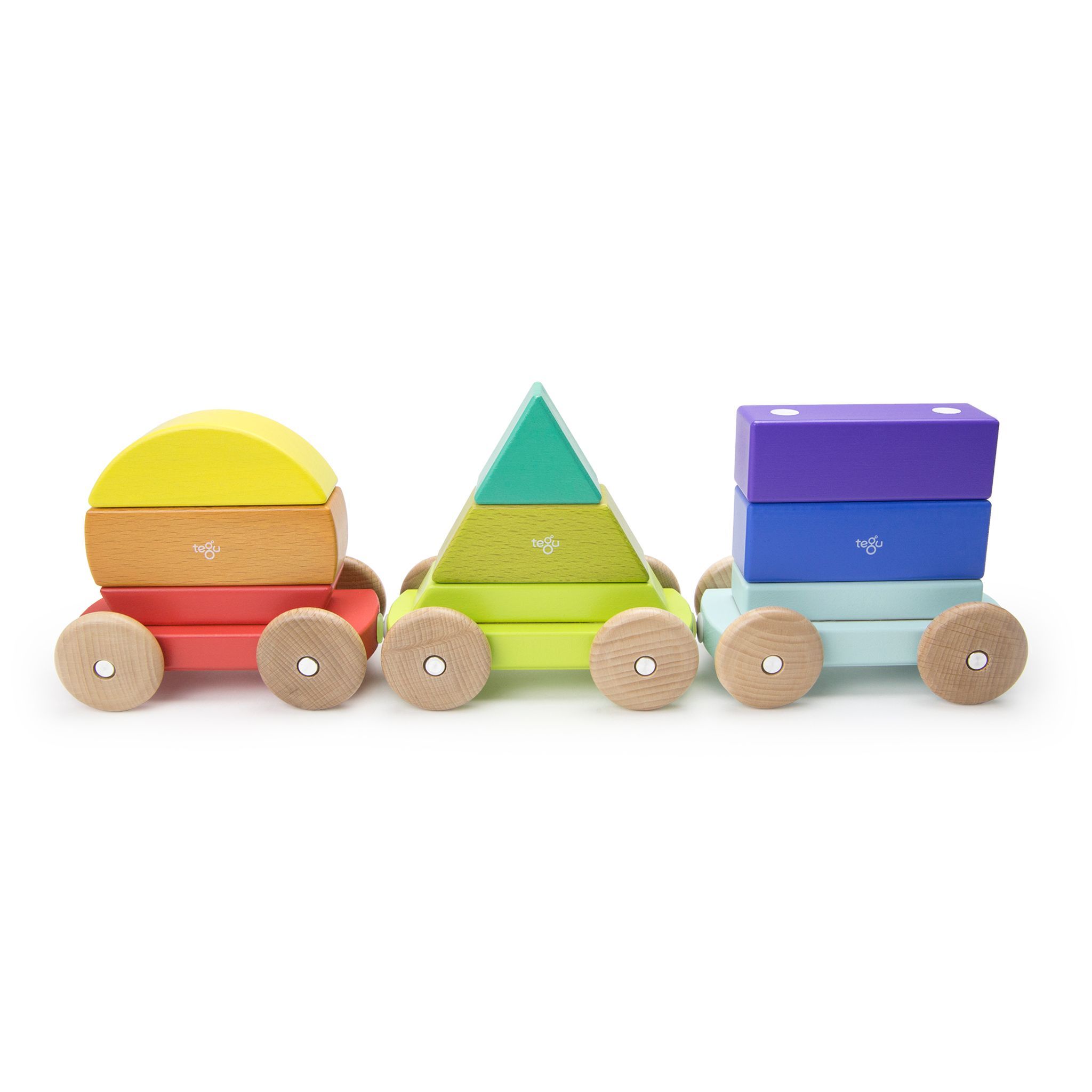 Tegu shape train [rainbow] – One 