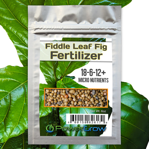 Afledning afslappet fællesskab Fiddle Leaf Fig Fertilizer 18-6-12+ Micro Nutrients (Lasts 8 MONTHS!) –  PowerGrow Systems & Utah Hydroponics