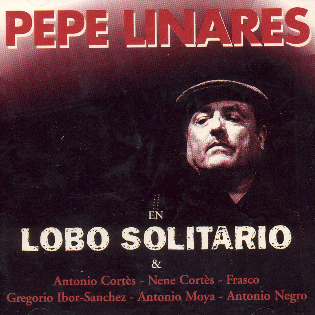 Lobo Solitario - Iori Yagami (Original Mix) by Lobo Solitario Music