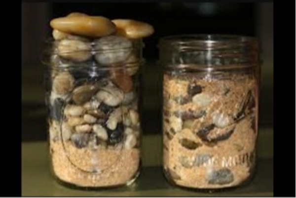 rocks inside jars