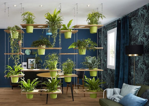 Squareinch home plant wall divider 2