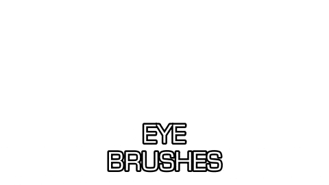 BRUSH SET WITH LEATHER BRUSH ROLL – Studio Gear Cosmetics