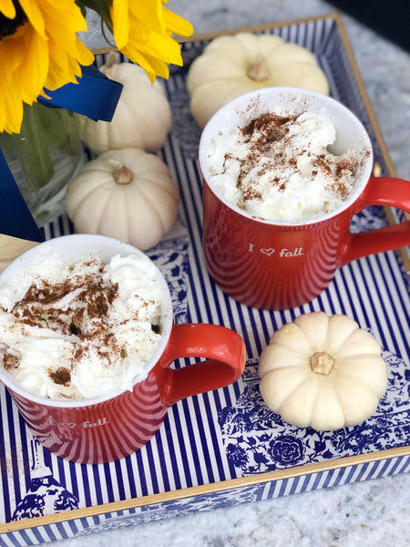 Pumpkin Spice Hot Cocoa Crockpot Recipe