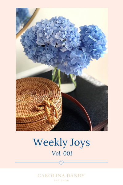Weekly Joys Blog Post