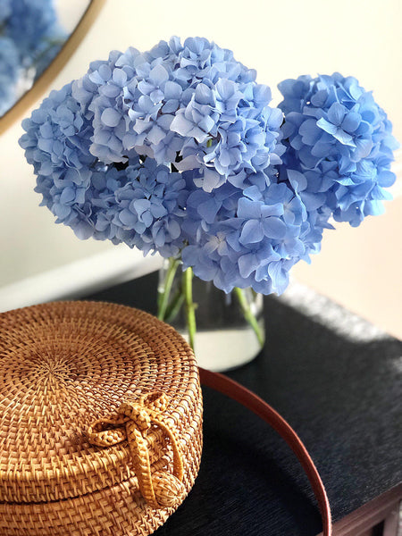 Blue Hydrangas in a vase