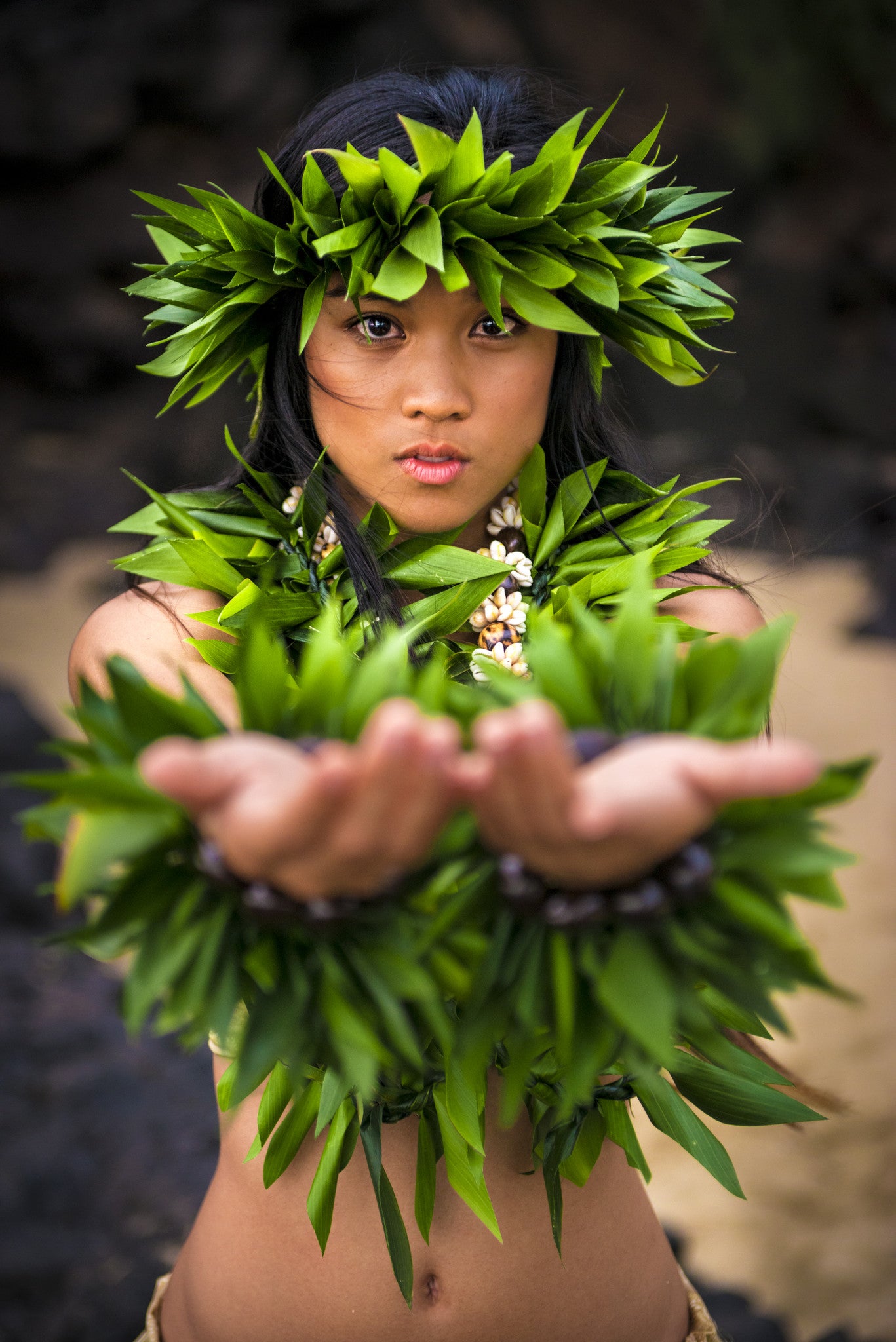 Hawaii Hula Pictures – Hawaiipictures.com
