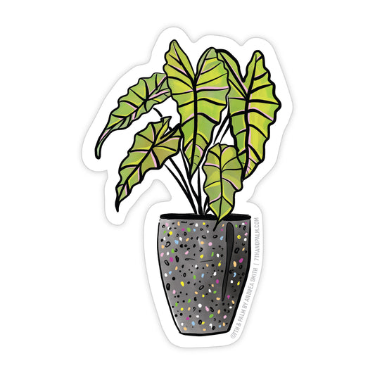 Pothos Plant Sticker  7th & Palm by Andrea Smith – 7th & Palm, LLC