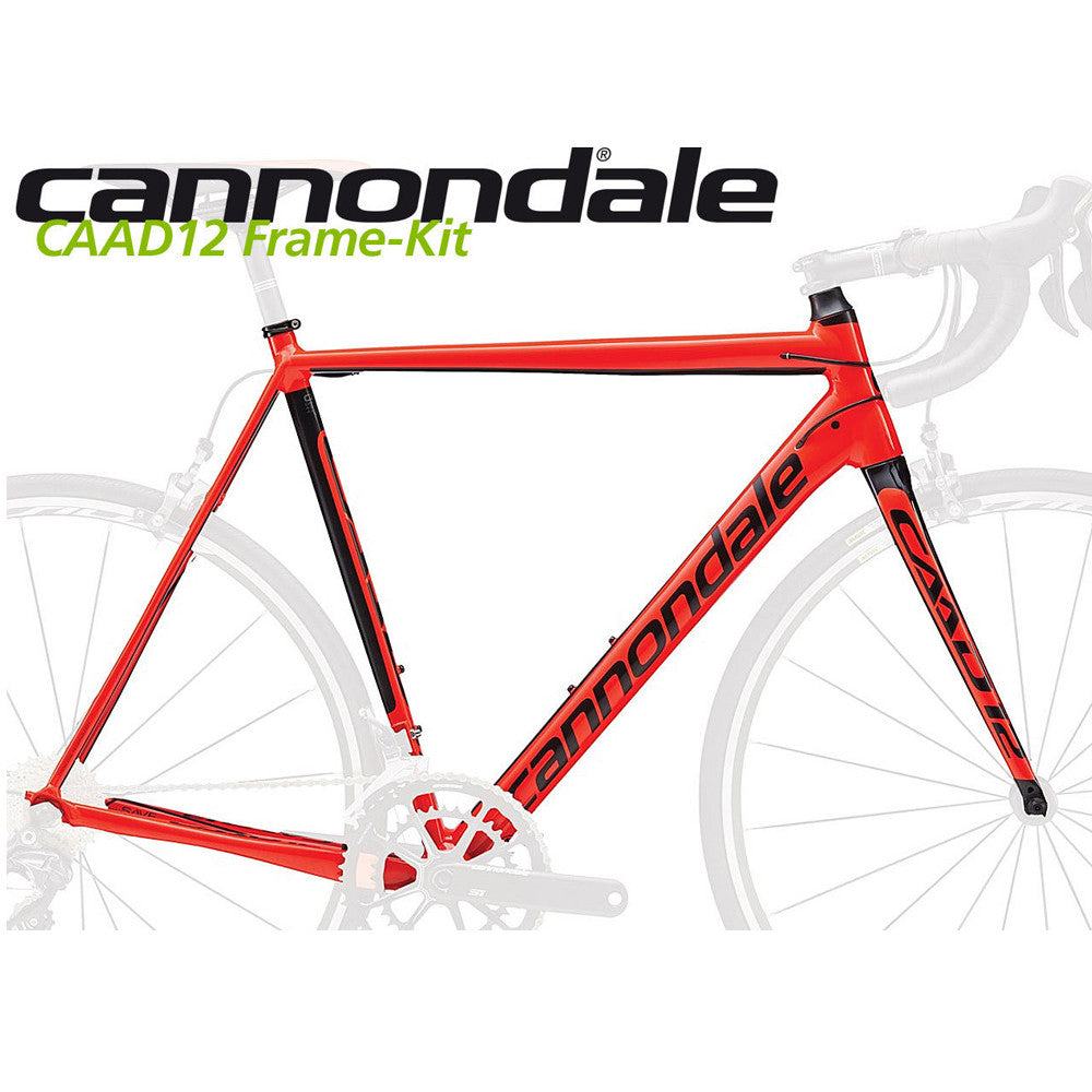 cannondale road bike frame