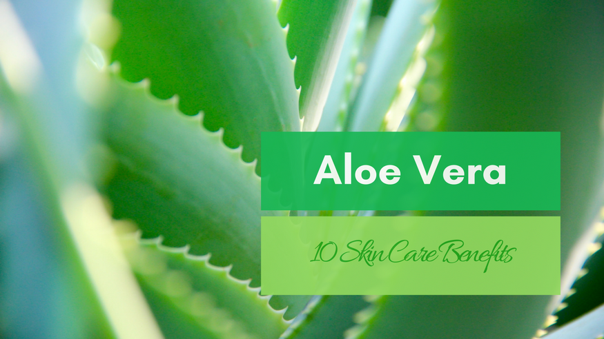 10 Skin Care Benefits Of Aloe Vera Geneva Naturals