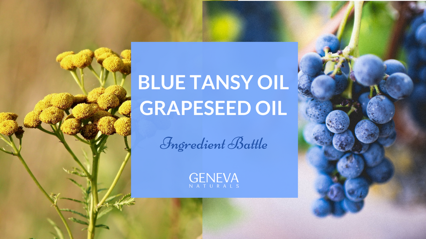 grapeseed oil and blue tansy oil for skin care
