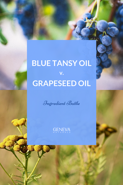 grapeseed oil and blue tansy oil