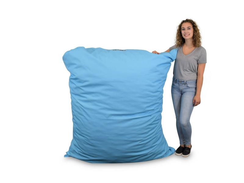 bean bag pillow