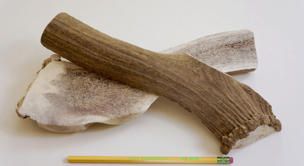 split elk antlers for dogs