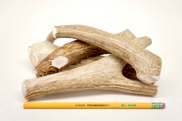 split or whole elk antlers for dogs