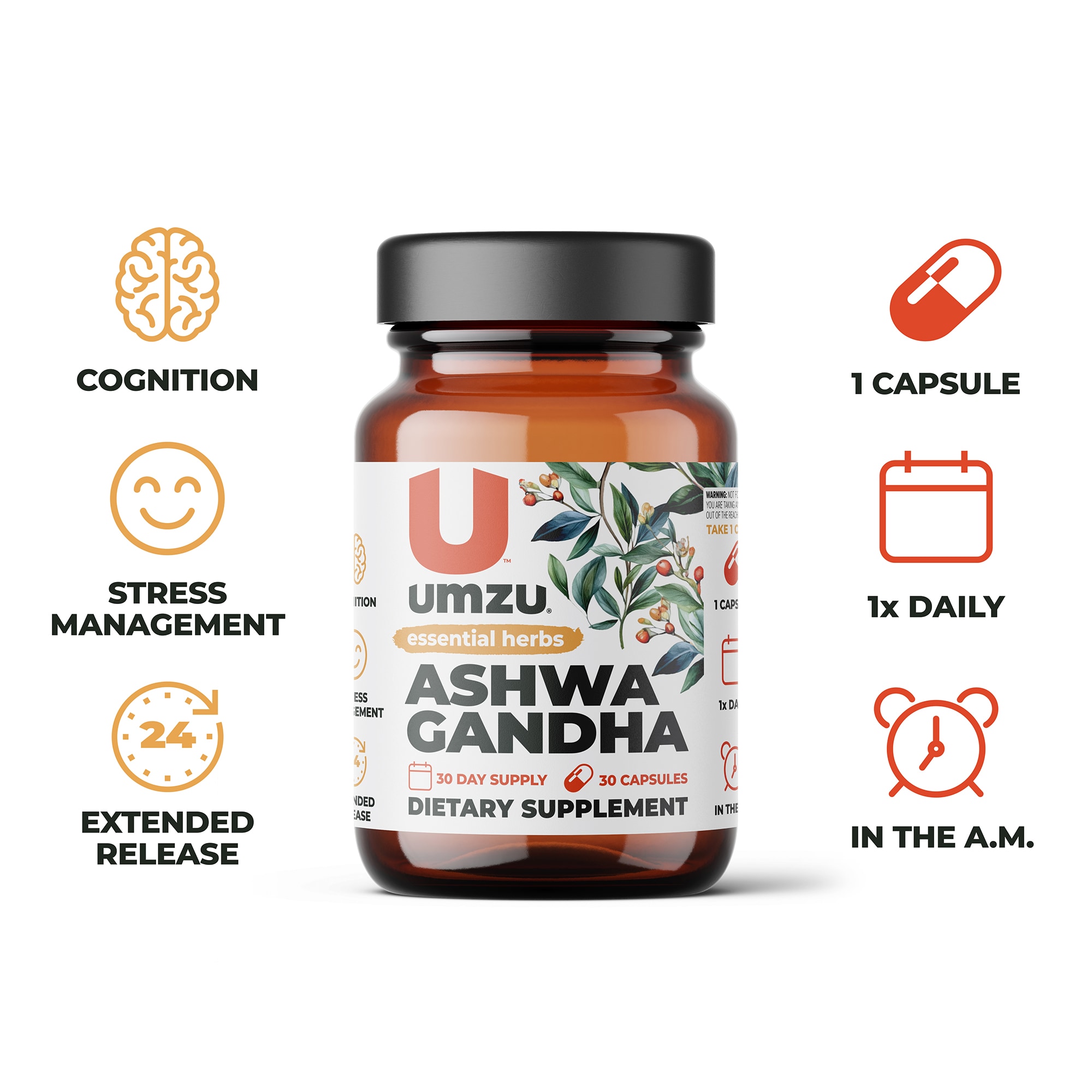 ASHWAGANDHA: Stress & Cognitive Support