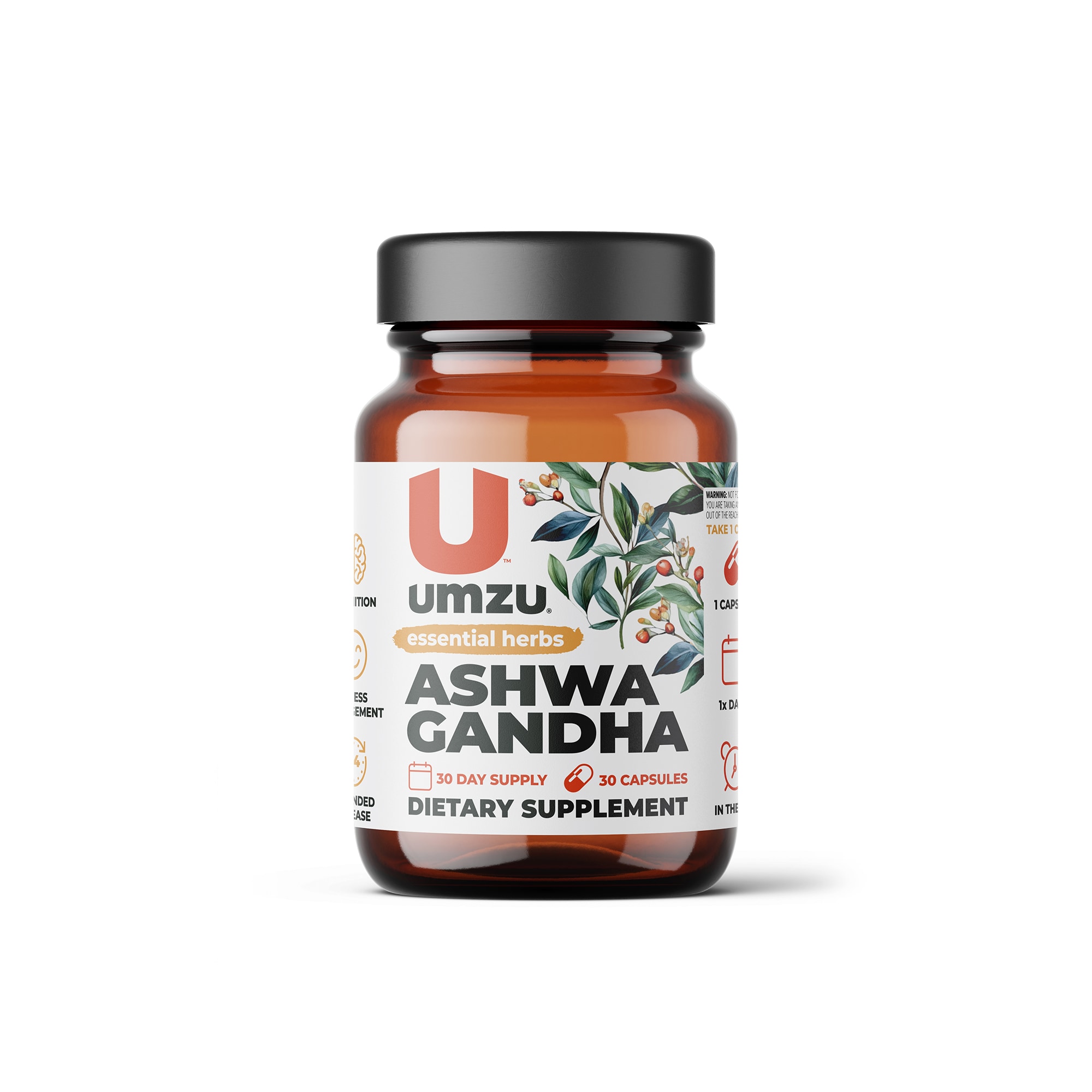 ASHWAGANDHA: Stress & Cognitive Support