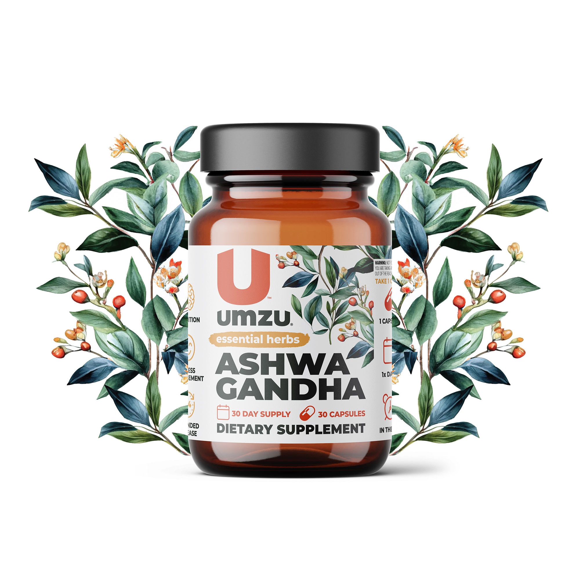 ASHWAGANDHA: Stress & Cognitive Support