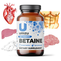 BETAINE HCl: Digestion & Circulatory Support