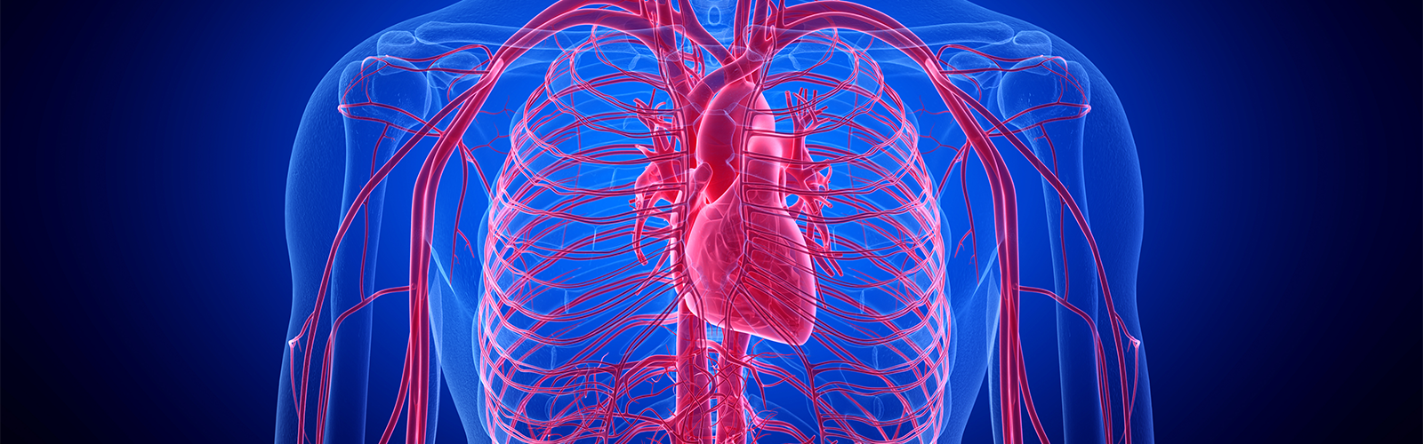 Artificial Testosterone Boosters Linked To Cardiovascular Disease