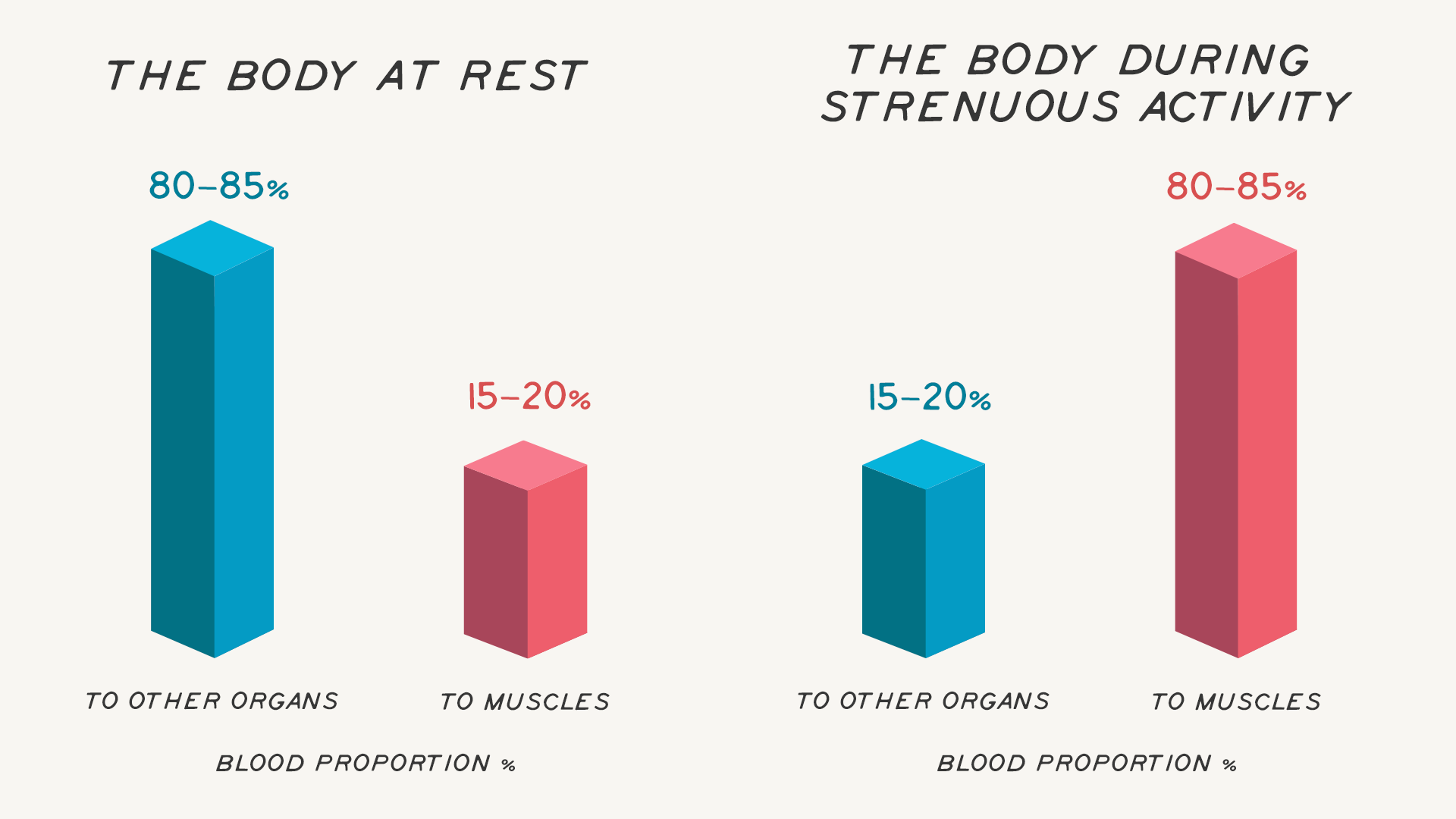 direction of blood at rest versus exercising