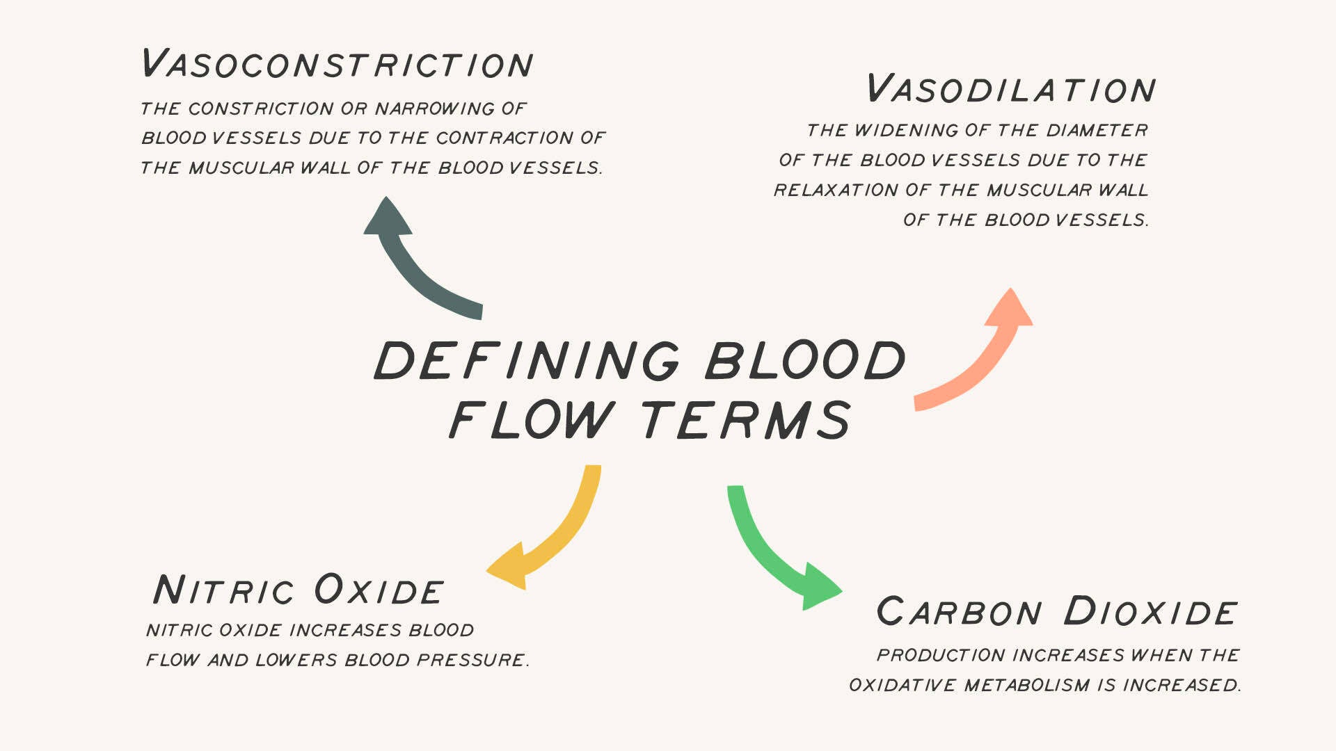 Defining Blood Flow Terms