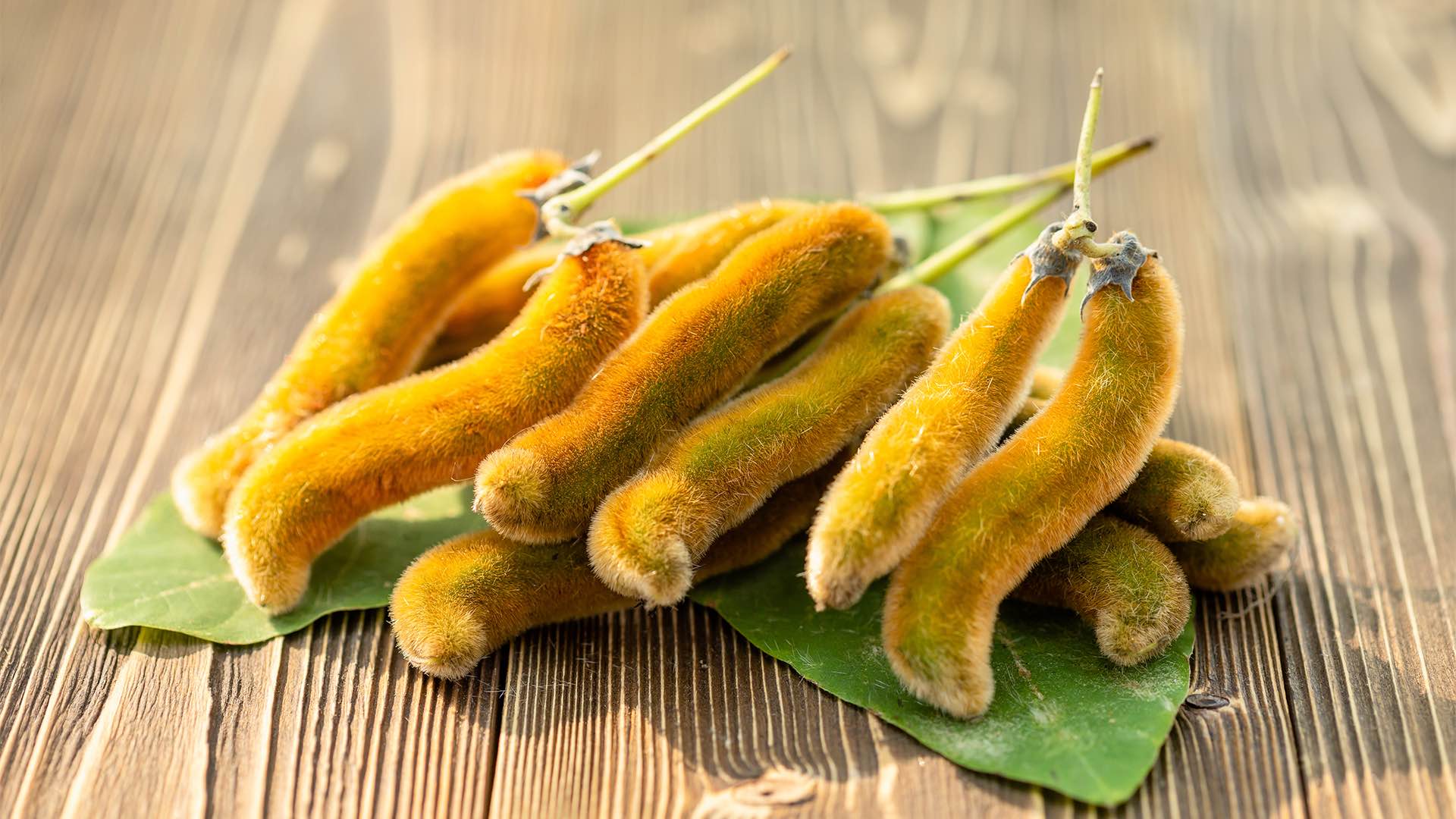 what is mucuna