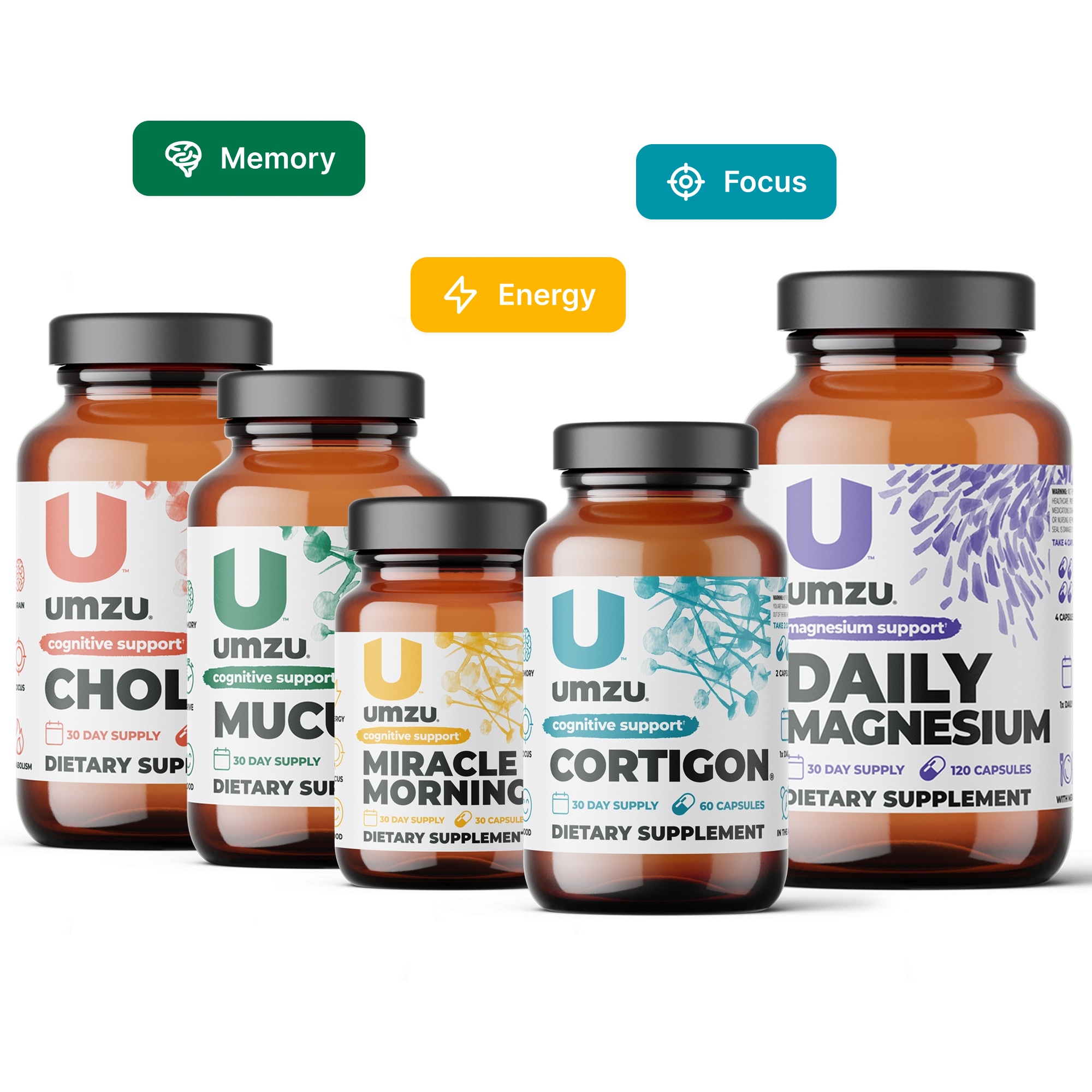 Focus Bundle: CHOLINE, MUCUNA PRURIENS, MIRACLE MORNING, CORTIGON & DAILY MAGNESIUM