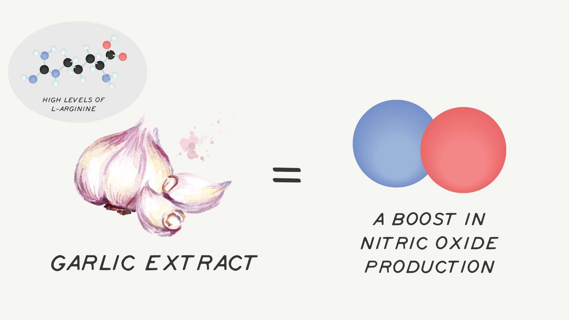 Garlic extract and blood flow