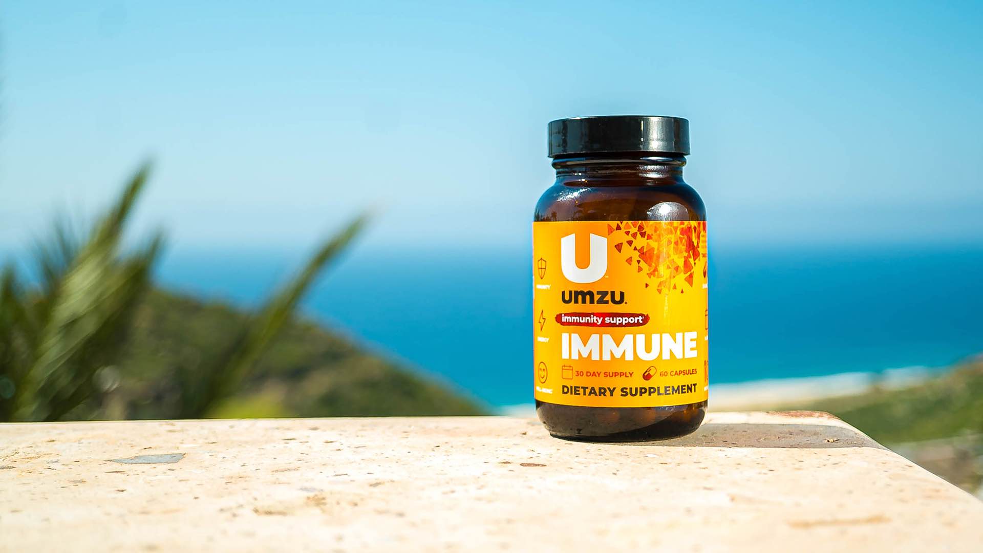 immune ingredients