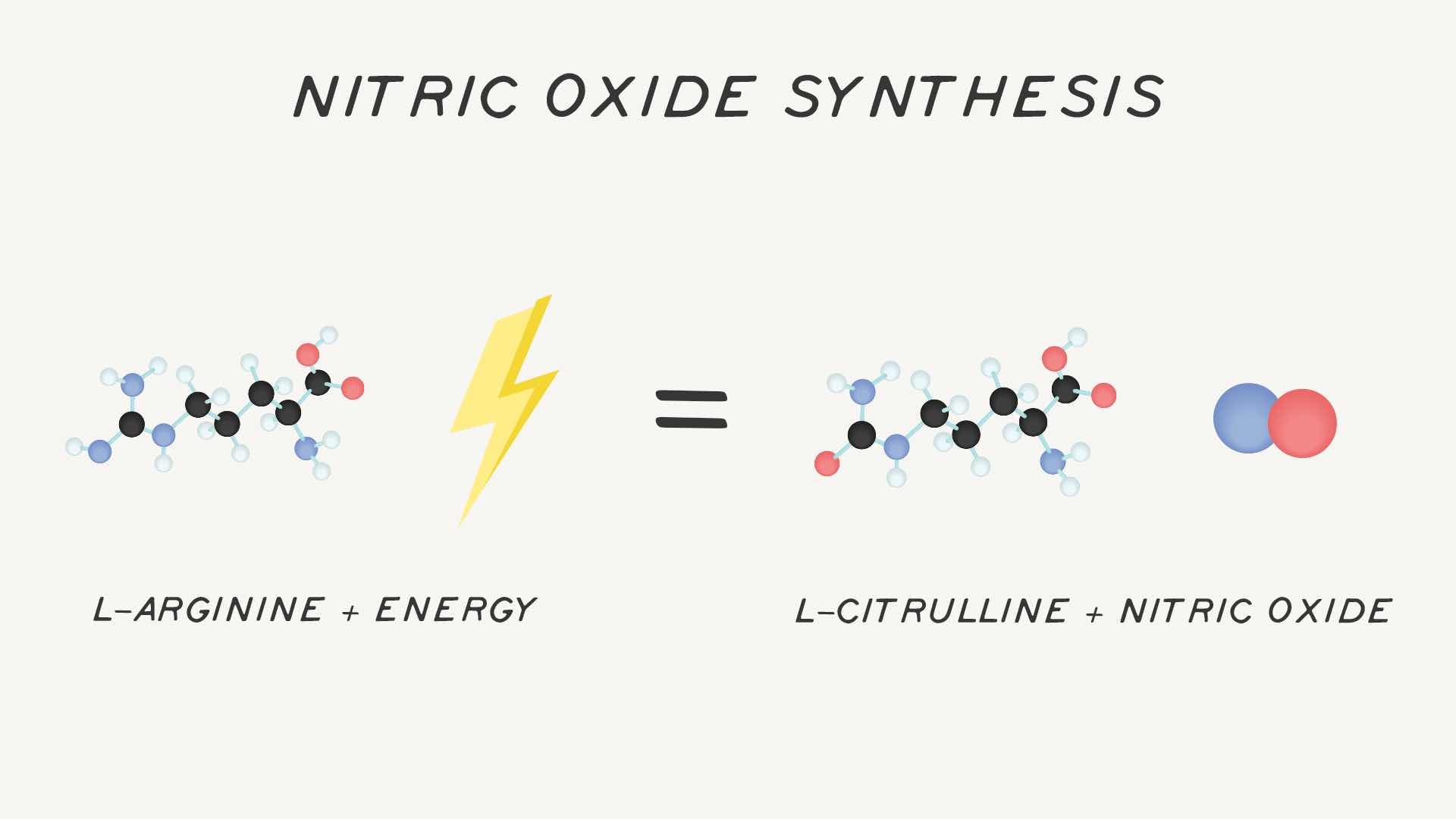 Nitric Oxide Synthesis