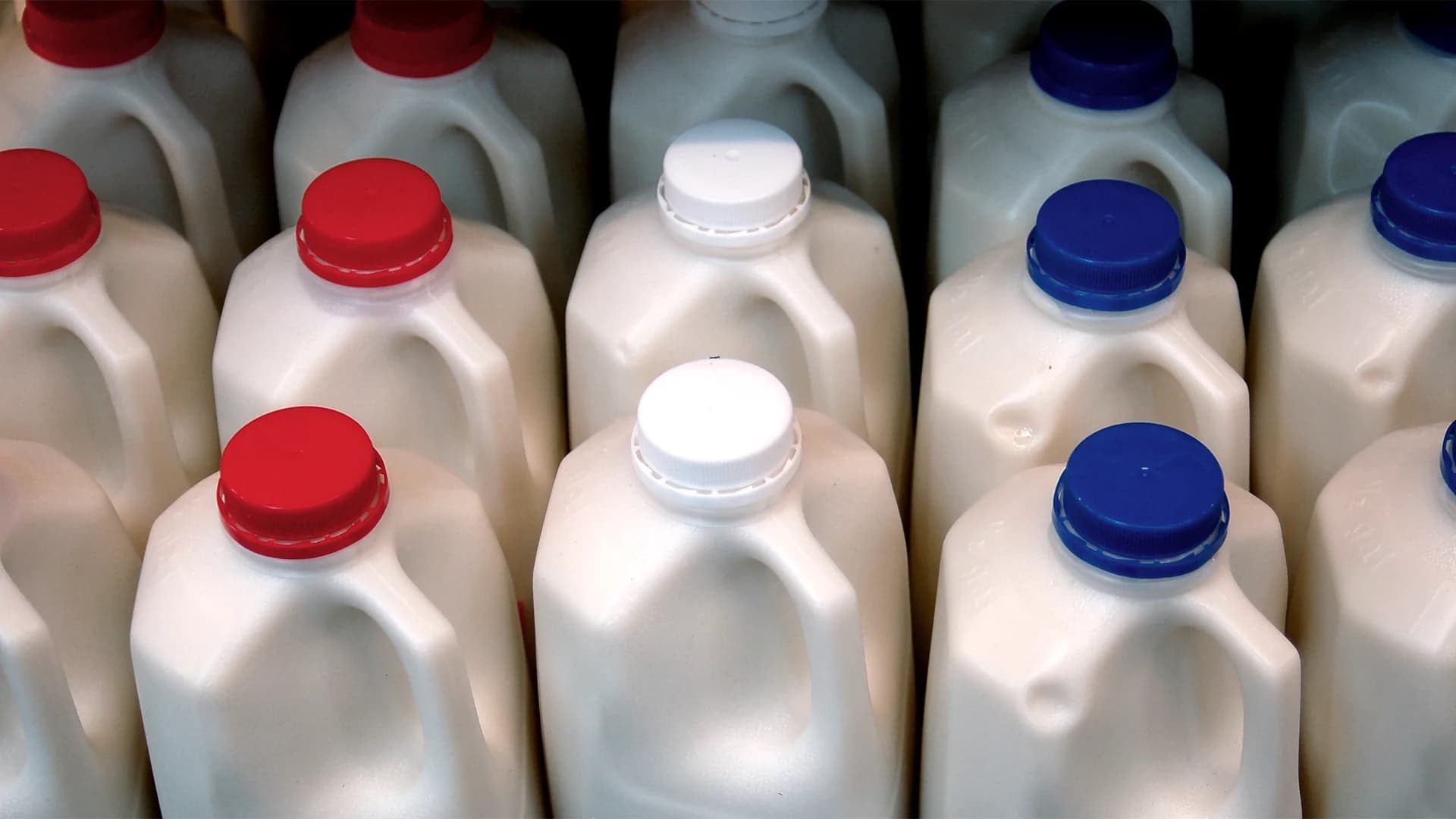 Why Skim Milk?