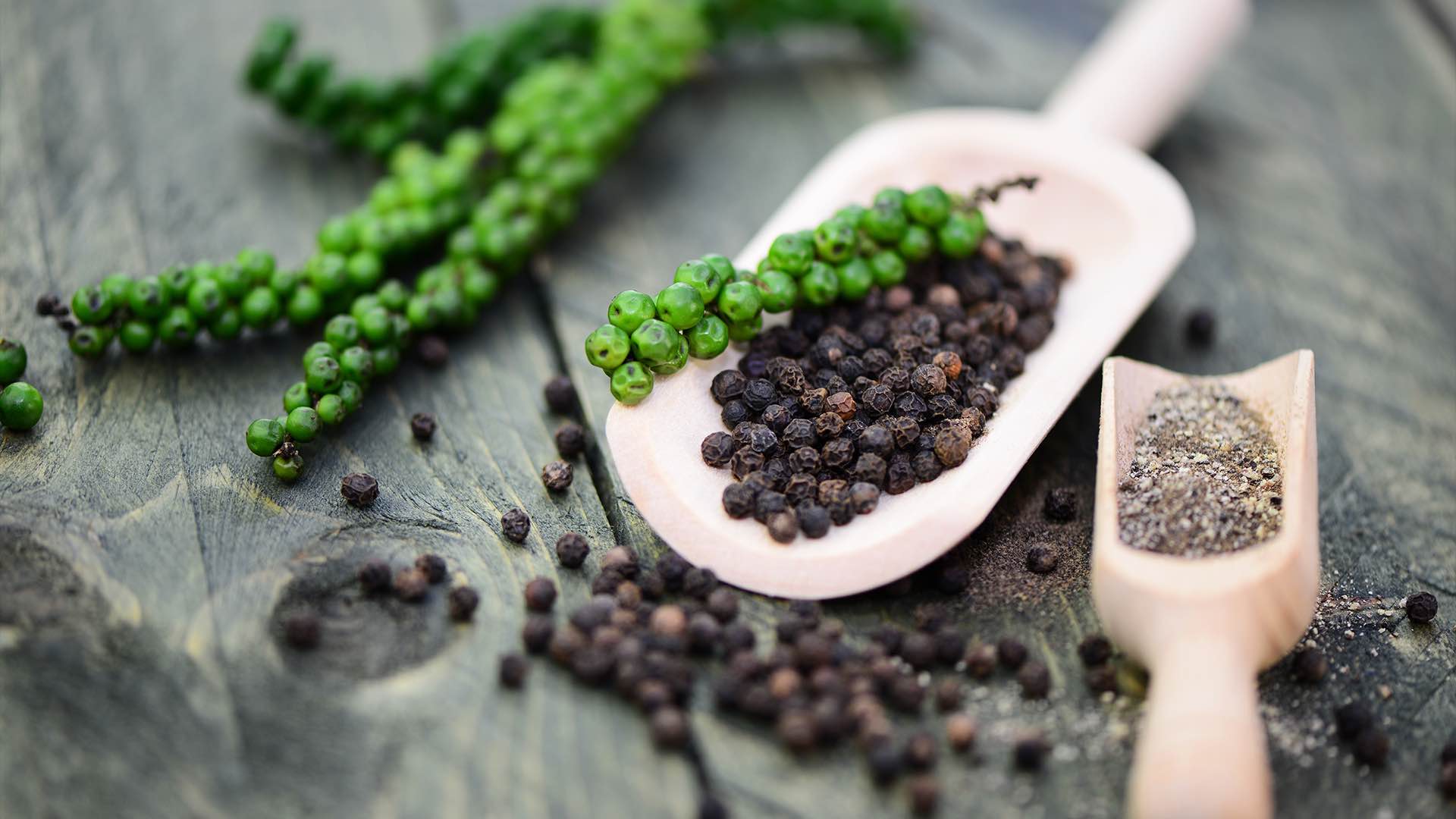 black pepper fruit extract