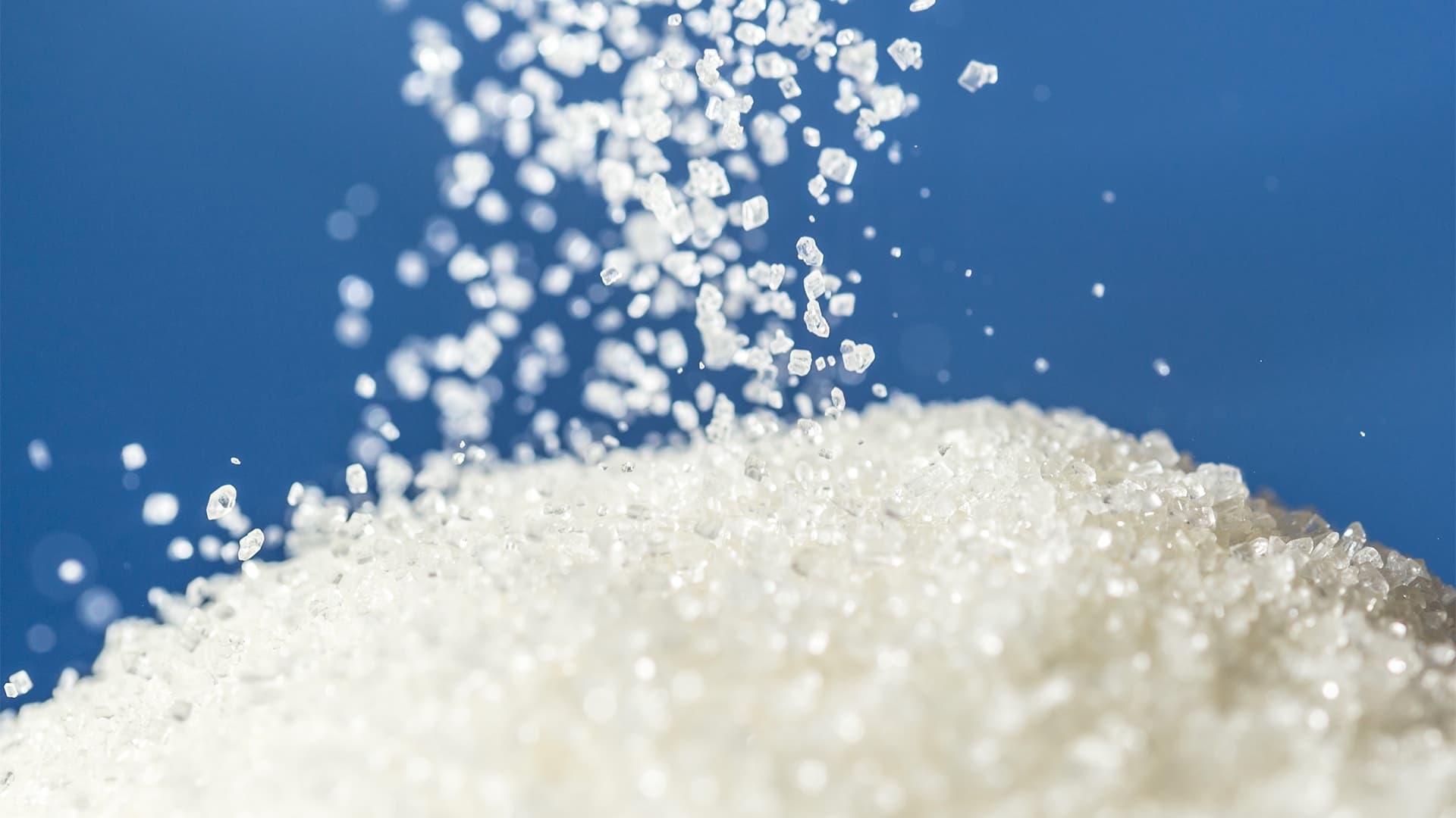 Sugar Vs. Starch