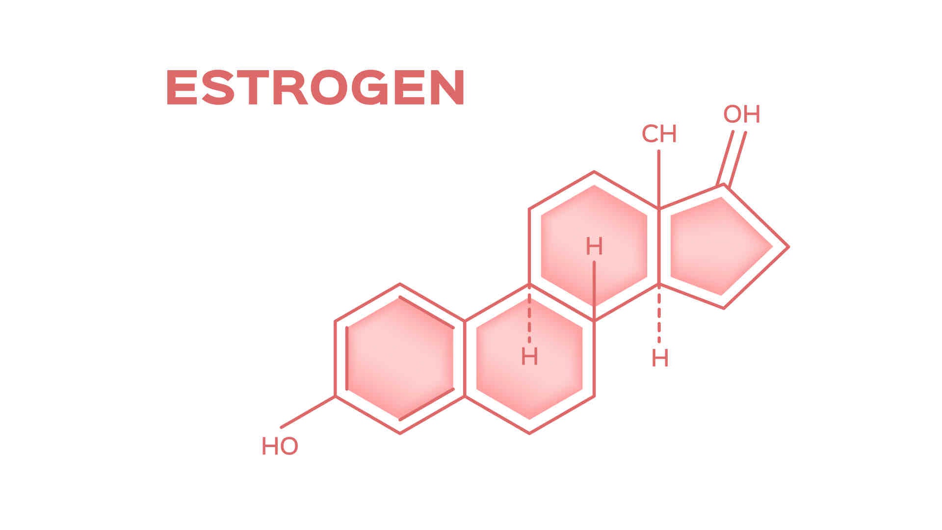 what is estrogen