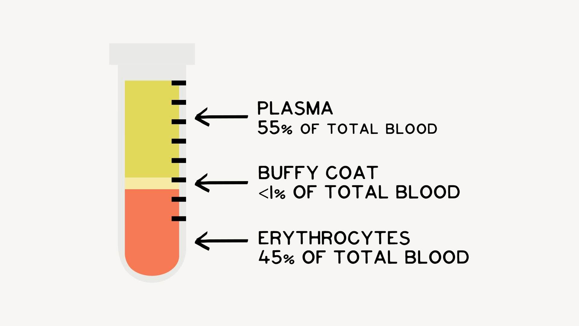 composition of blood and its relation to nitric oxide