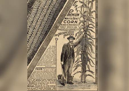 corn in newspaper