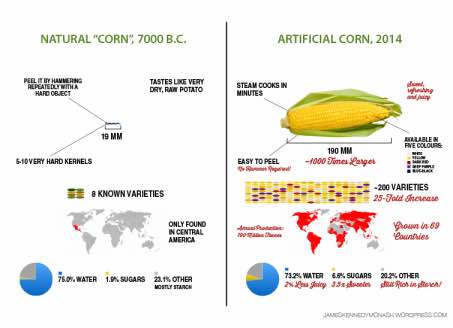 history of corn