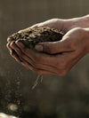 Hands holding a pile of soil.