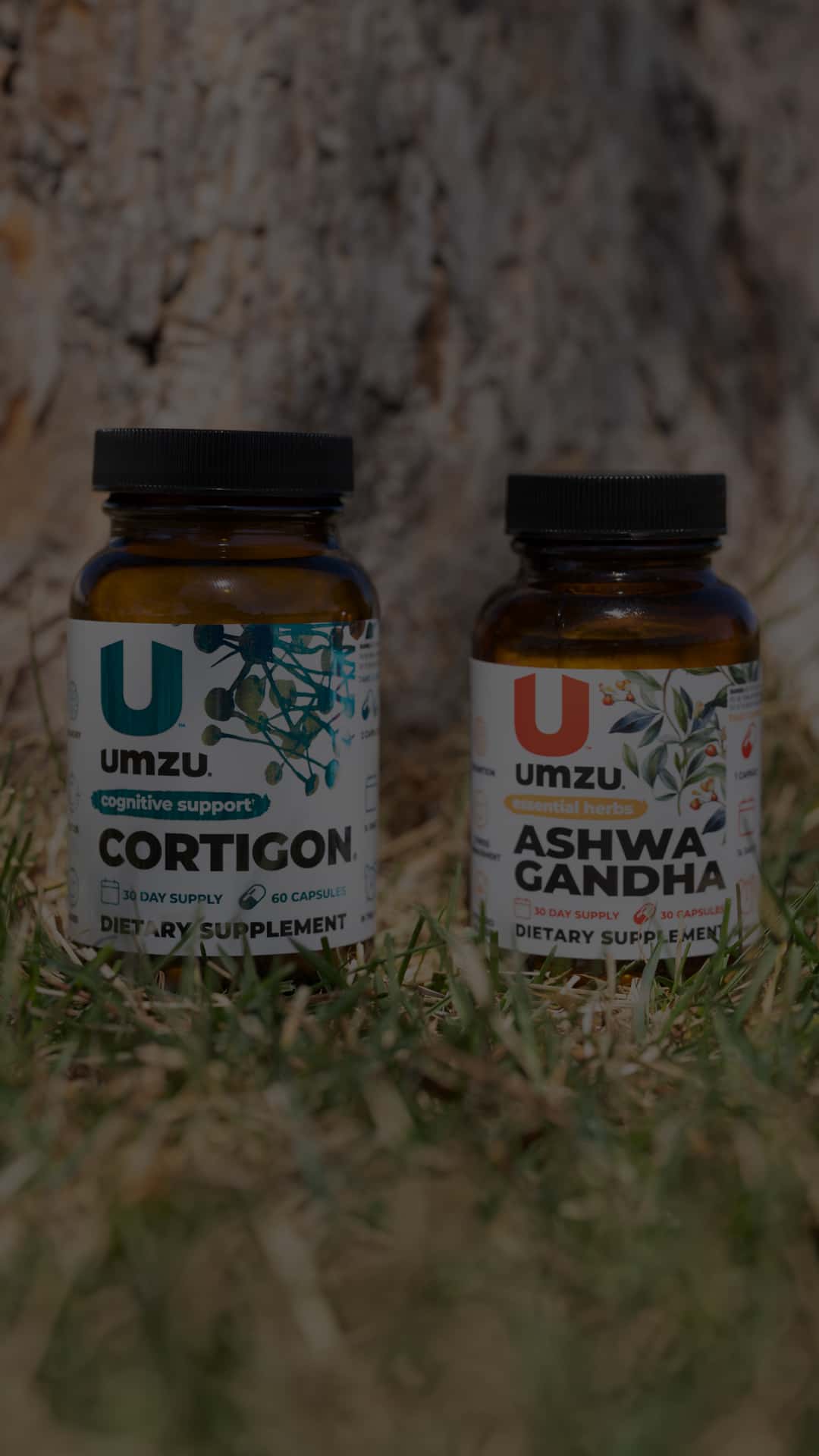 A photo of Cortigon and Ashwagandha standing up in the grass in front of a tree.