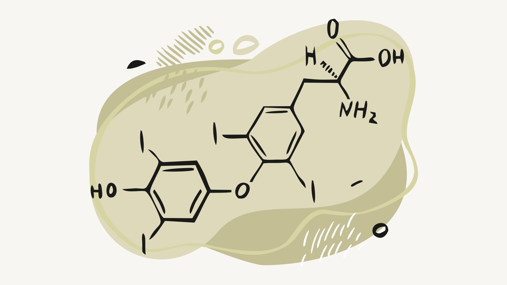 Thyroid Hormone Molecule