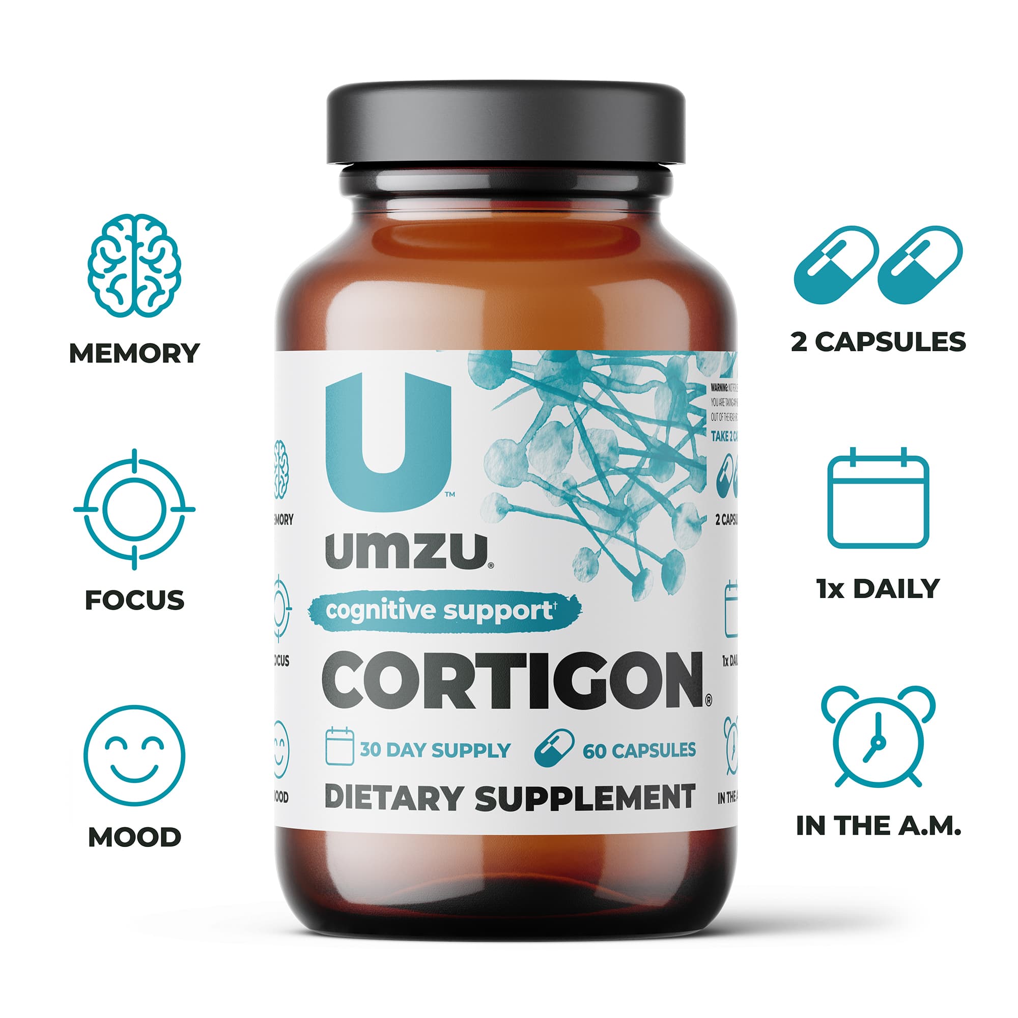 Focus Bundle: CHOLINE, MUCUNA PRURIENS, MIRACLE MORNING, CORTIGON & DAILY MAGNESIUM