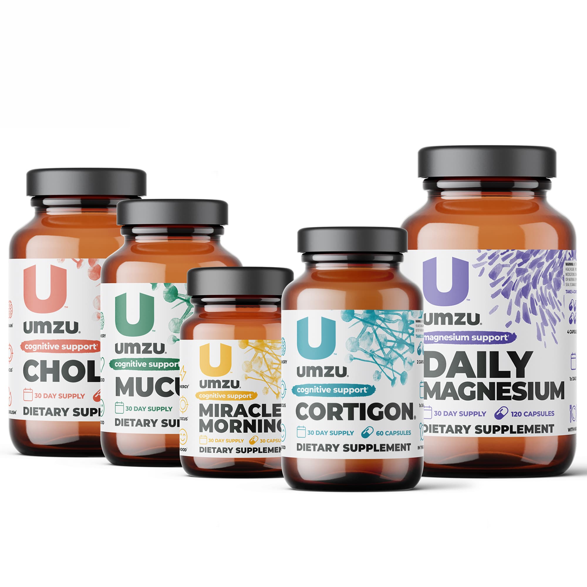 Focus Bundle: CHOLINE, MUCUNA PRURIENS, MIRACLE MORNING, CORTIGON & DAILY MAGNESIUM