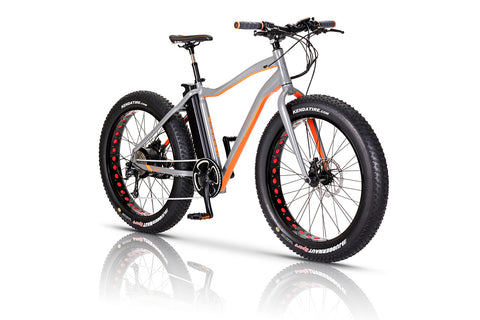 fat tyre cycle electric