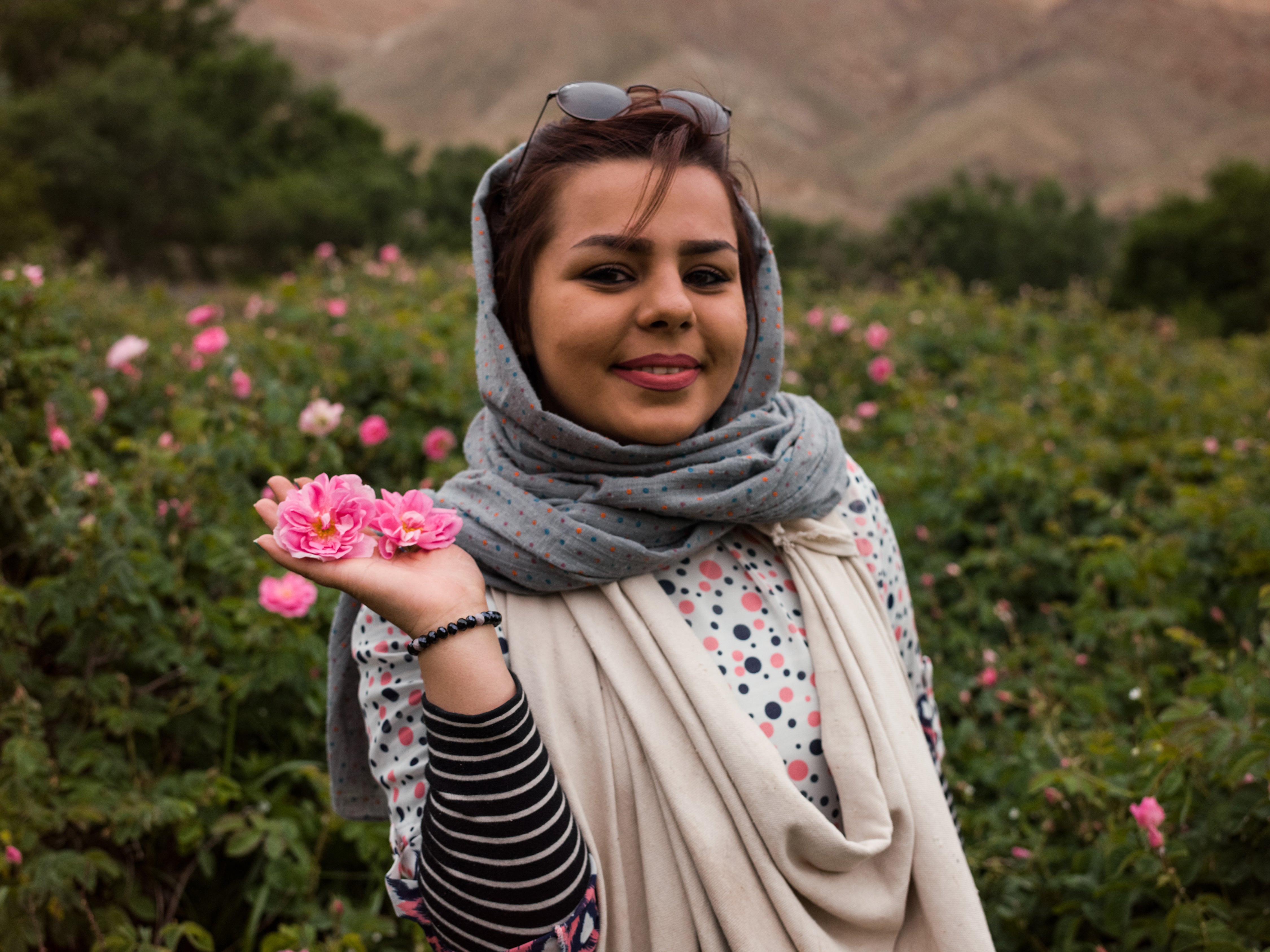Woman Picking Iranian Damask Roses In Kashan, Iran | Stories + Objects Travel Images