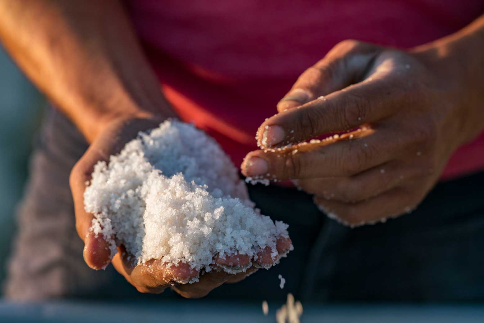 Fleur Del Sel Pure White Salt From France | Stories + Objects Online Travel Magazine